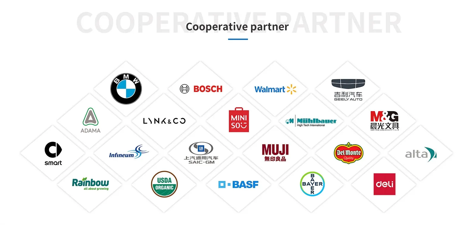 partner